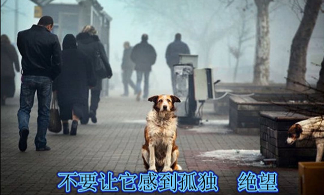 宜宾宜宾爱影圈微博微信转发案例